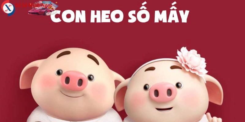 Trong nhiều quan niệm, con heo gắn liền với những con số may mắn đặc biệt